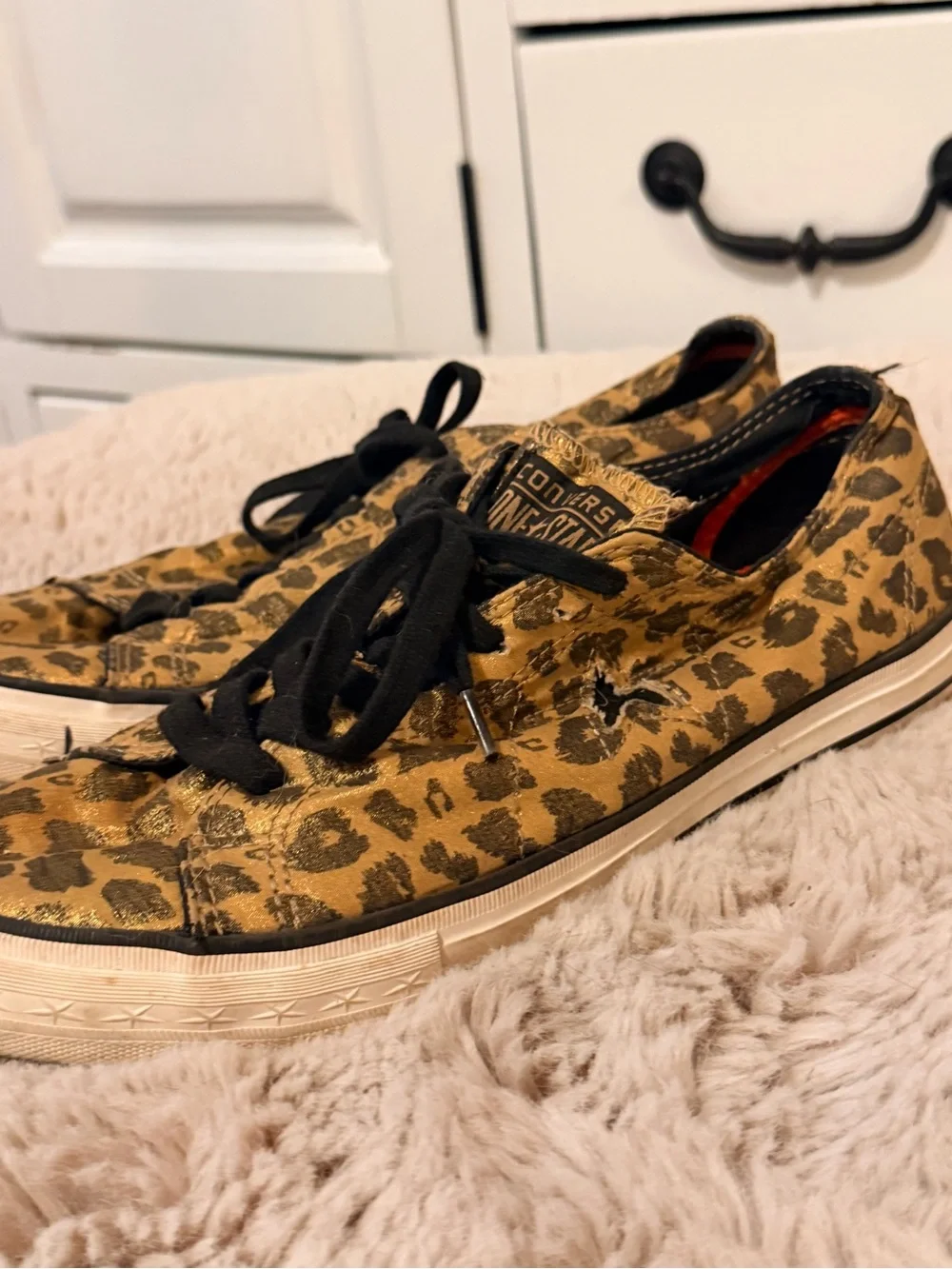 Cheetah converse